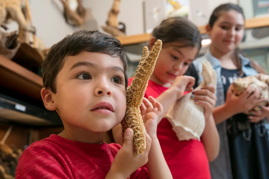 A young boy in a red shirt holds a dried starfish, looking up in wonder, with two girls behind him.