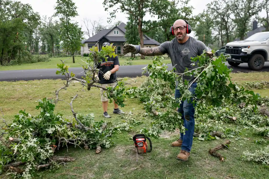 Man in ear protection and work gloves throwing tree branches into a pile, cleaning up after a storm.