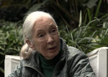 In a previously unaired interview, Jane Goodall delivers a call to action