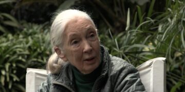 In a previously unaired interview, Jane Goodall delivers a call to action