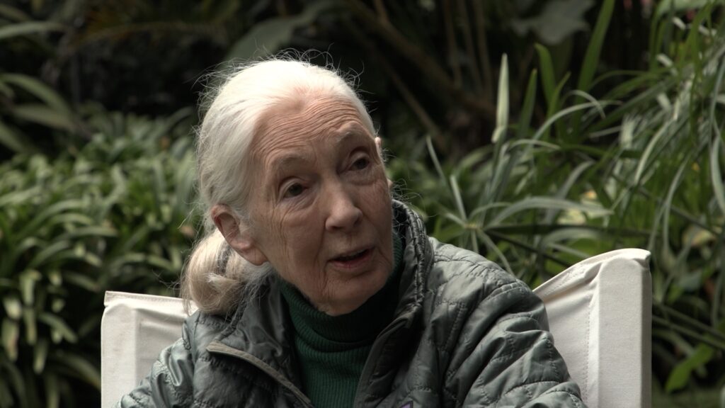 In a previously unaired interview, Jane Goodall delivers a call to action