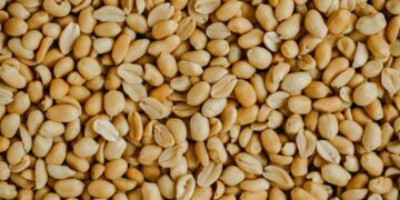 5 ways to get more magnesium without taking a supplement