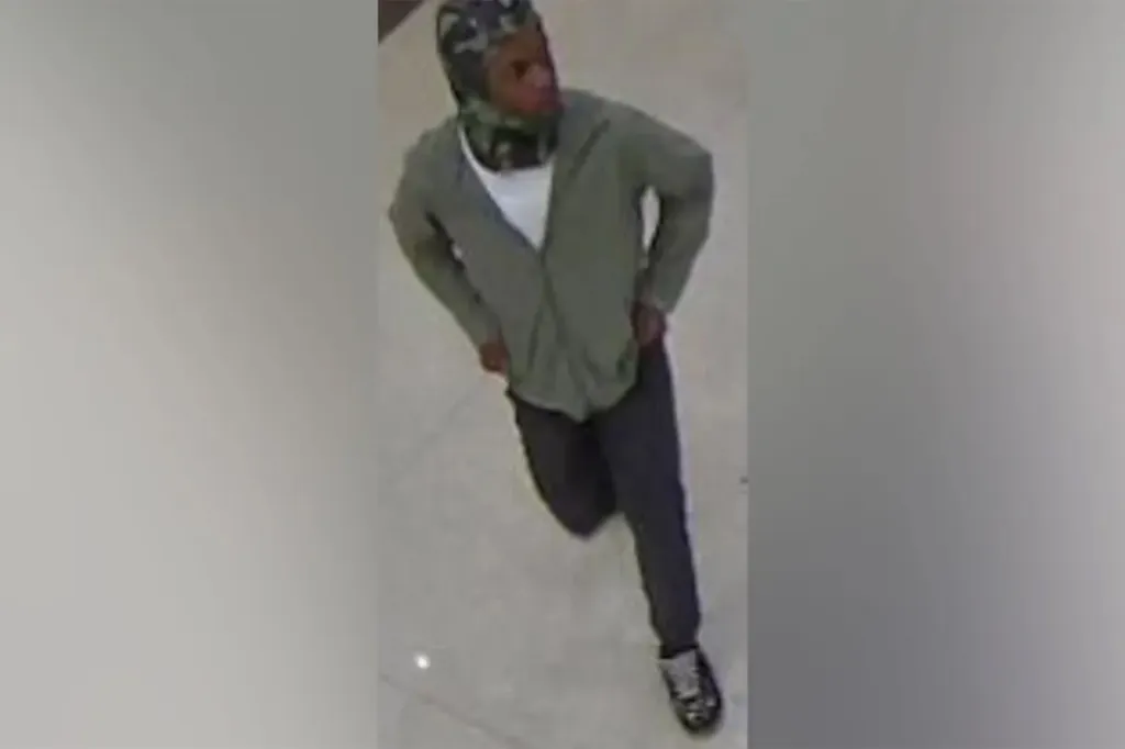 nvestigators are working alongside safety officials from the School District of Philadelphia and the Philadelphia Police Department and are urging the public to help identify those involved.