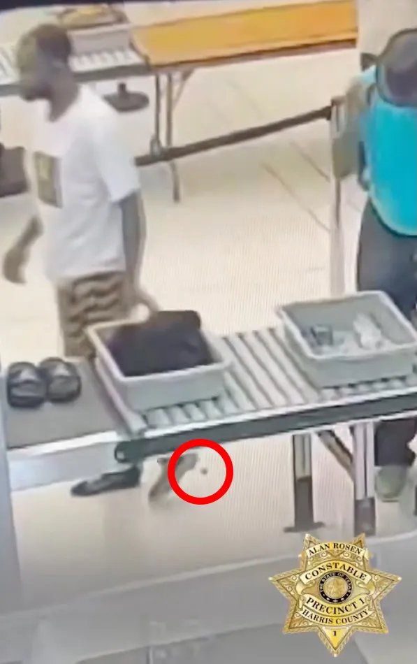 Surveillance video showing Earl Gerald dropping a bag of weed on the floor at a security checkpoint.