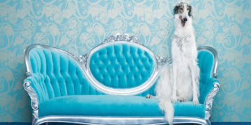 It’s Never Been More Expensive to Be a Pet Parent. Here’s Exactly How Much.