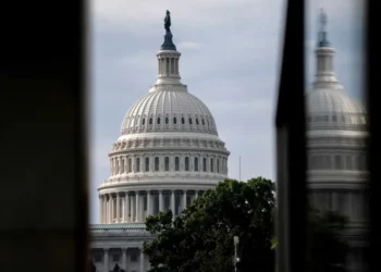 Ex-lawmaker erupts on MS NOW over scandal-plagued Congress: ‘Bloodletting should happen’