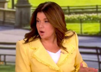 ‘The View’: Ana Navarro Wonders if WHCD Will Prompt Gun Reform Now That Major Politicians ‘Have Felt the Fear Themselves’