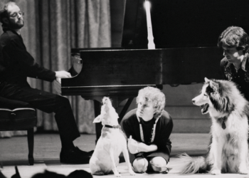 This Dog Breed Doesn’t Just Howl, They Sing Along to Their Favorite Songs