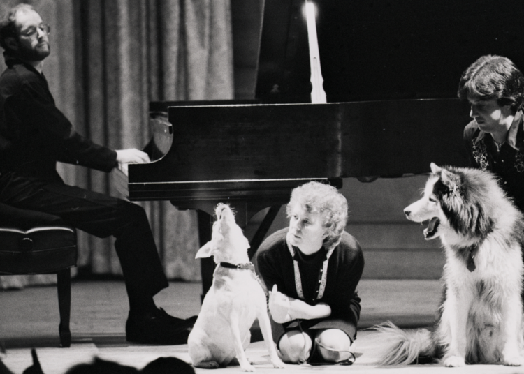 This Dog Breed Doesn’t Just Howl, They Sing Along to Their Favorite Songs