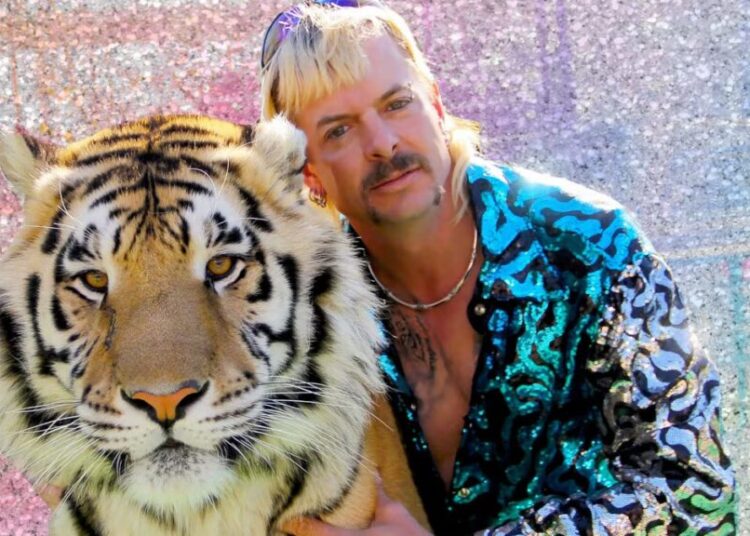 The 7 Best Docuseries to Binge on Netflix Right Now