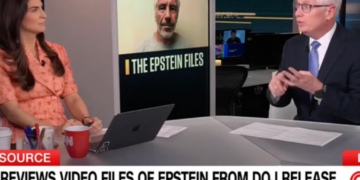 ‘A window into a strange world’: Trove of Epstein files videos baffles CNN analyst