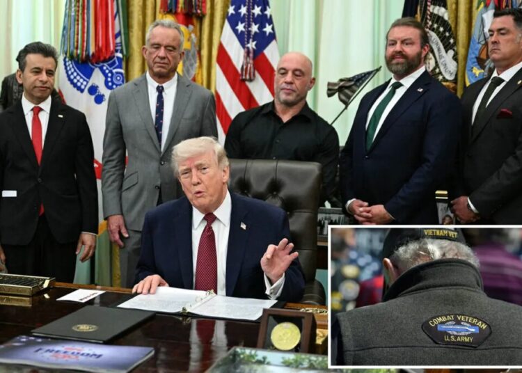 Trump signs order to fast track psychedelic drug research to treat veterans with PTSD