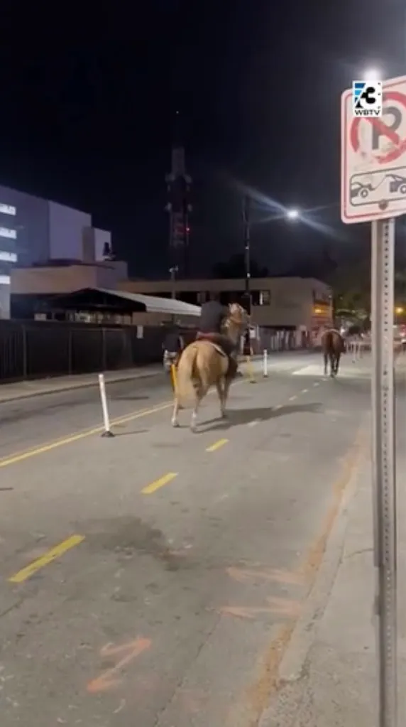 The thrown rider and a mounted companion chase the loose horse in Charlotte on April 3, 2026 (video by Ja’Queria Lynch/WBTV)