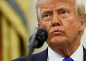 Furious US ally pleads for ‘adults’ in DC as Trump blindsides them with troop pullout
