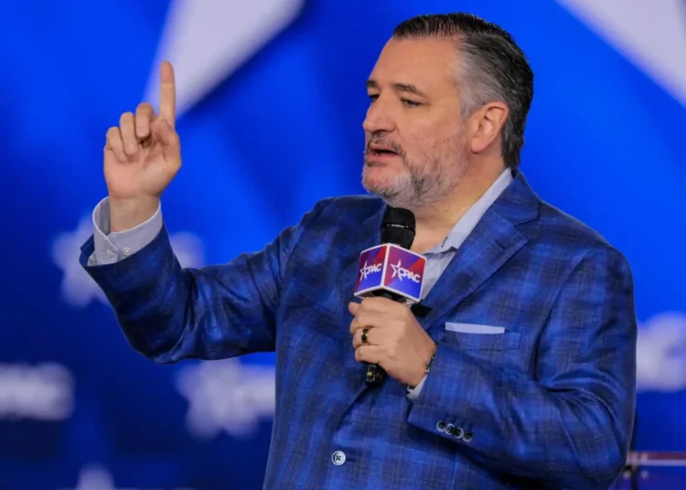 ‘Widespread mental illness!’ Republicans lash out as 25th Amendment debate ignites