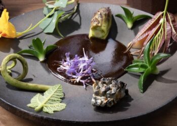 I ate at Noma LA for $1,500. Was it worth it?