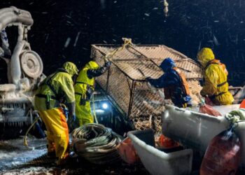 ‘Deadliest Catch’ star Todd Meadows’ cause of death revealed