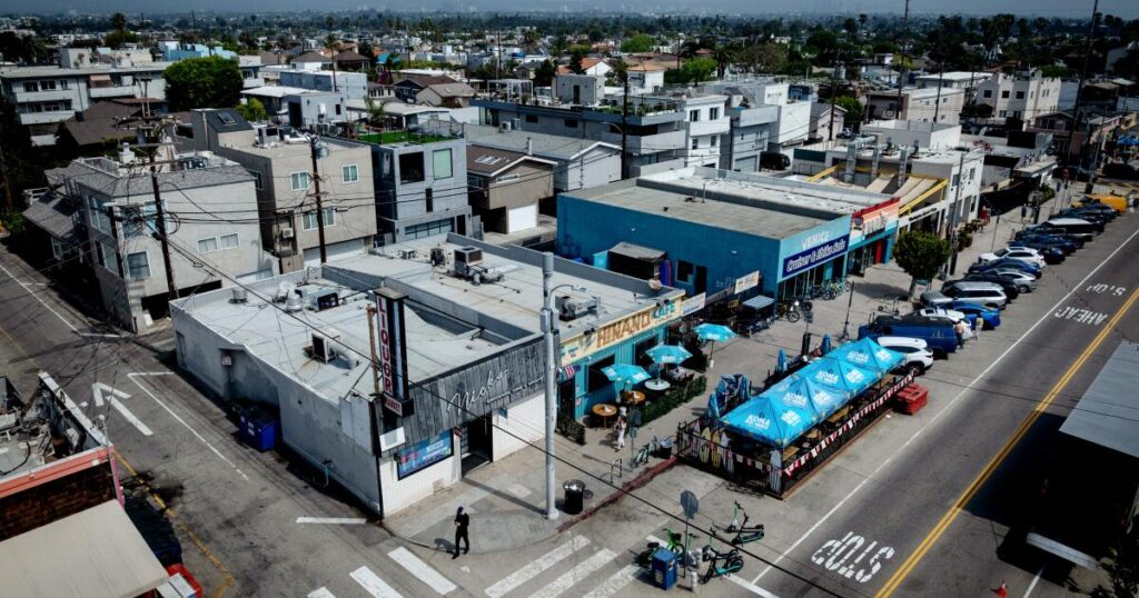 Is he ‘The Venice Karen’ or the victim of an unruly bar scene? L.A. may soon decide