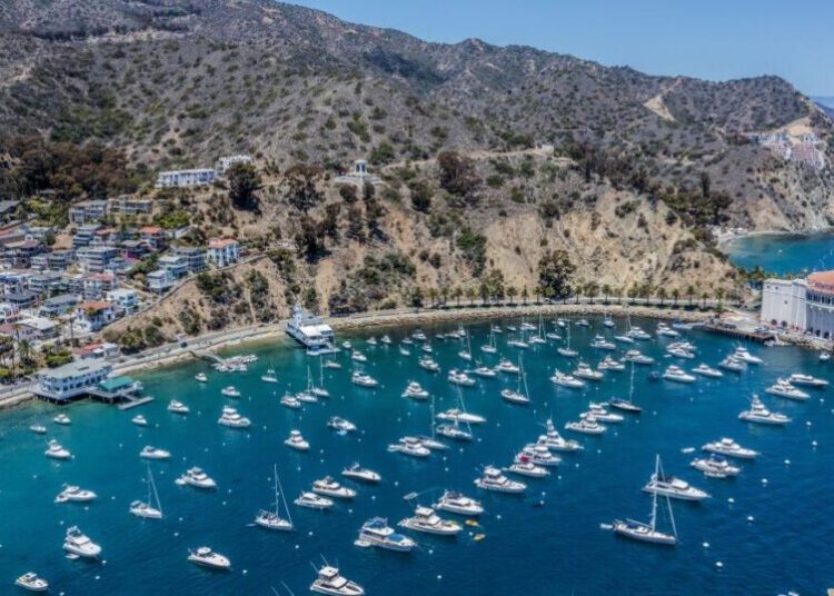 Plane crash-lands on Catalina Island, killing 2, officials say