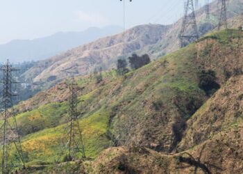 Their homes burned in the Eaton fire. Why Edison has kept information about the fire under wraps