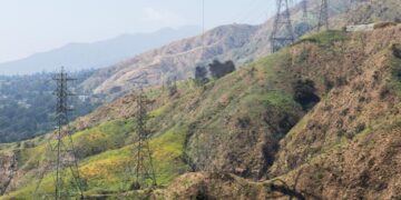 Their homes burned in the Eaton fire. Why Edison has kept information about the fire under wraps