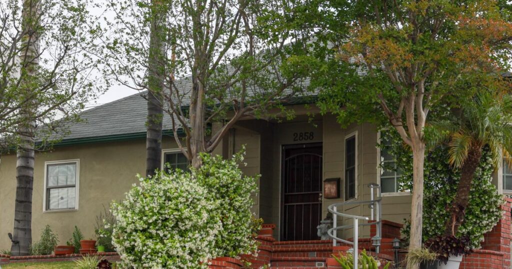 Dedicated student, track athlete, and now a suspect in the killing of a Burbank teacher