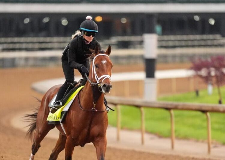Who will win the Kentucky Derby? With no dominant favorite, odds are sure to shift