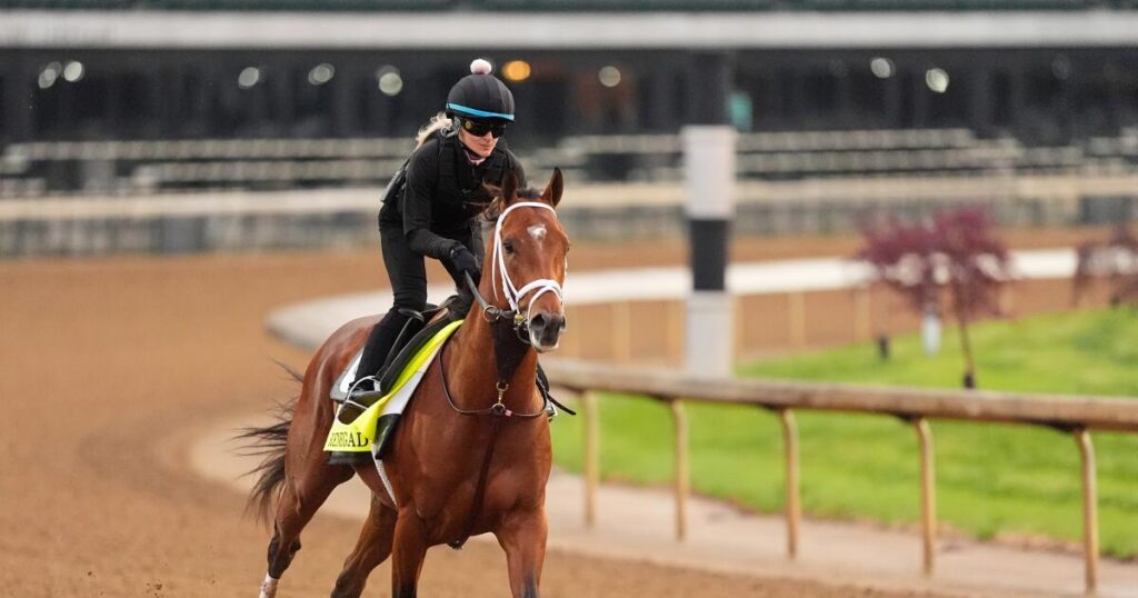 Who will win the Kentucky Derby? With no dominant favorite, odds are sure to shift