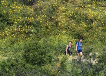 L.A. City Council panel seeks to ban e-bikes from city hiking and equestrian trails