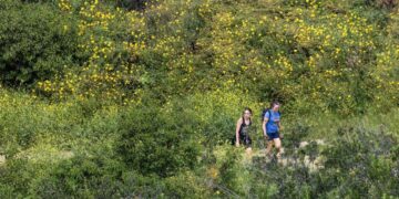 L.A. City Council panel seeks to ban e-bikes from city hiking and equestrian trails