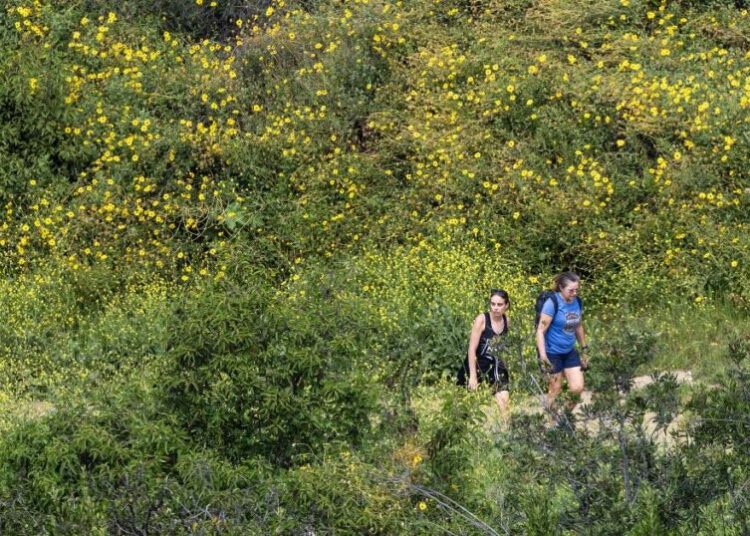 L.A. City Council panel seeks to ban e-bikes from city hiking and equestrian trails