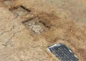 Two dogs stabbed, one killed while defending historic L.A. cemetery, says heartbroken owner