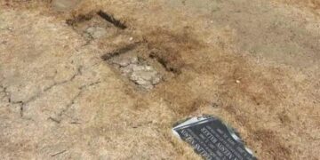 Two dogs stabbed, one killed while defending historic L.A. cemetery, says heartbroken owner