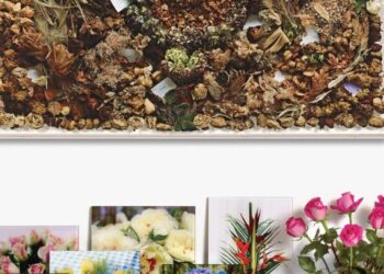 My fake but real exchange with the artist Sophie Calle