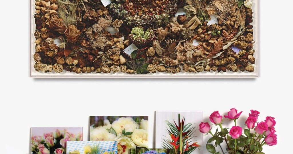 My fake but real exchange with the artist Sophie Calle