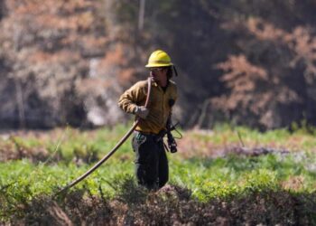 Florida firefighter dies, 120 homes destroyed in Georgia in growing wildfires