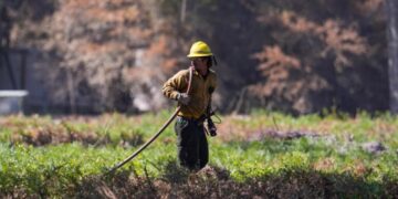 Florida firefighter dies, 120 homes destroyed in Georgia in growing wildfires