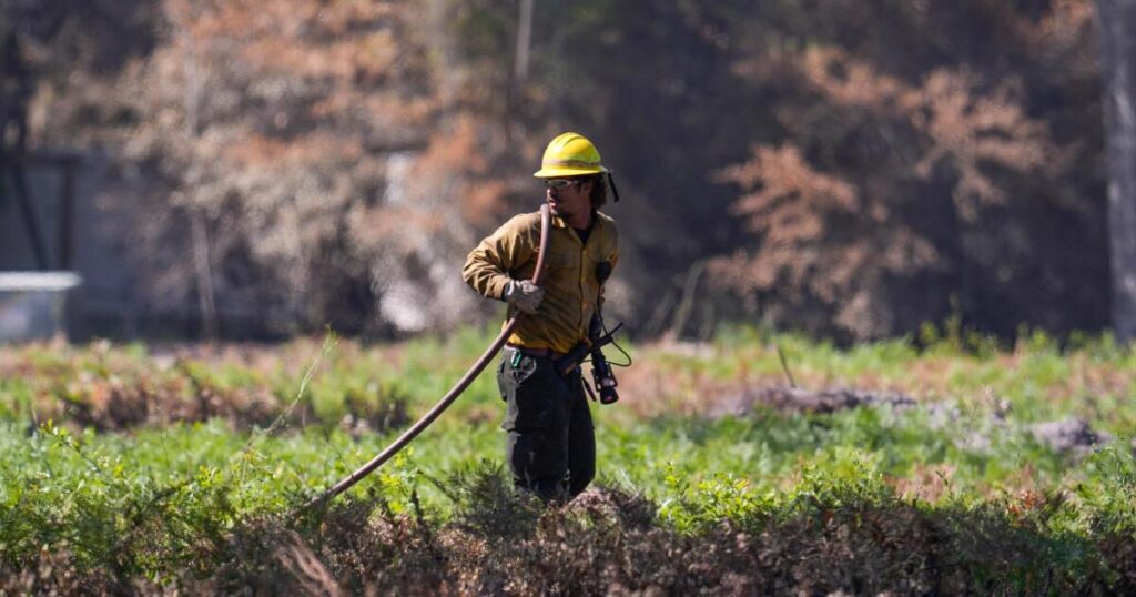Florida firefighter dies, 120 homes destroyed in Georgia in growing wildfires