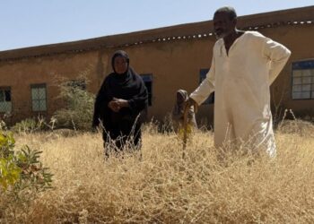 War has turned this African capital into a city of graves