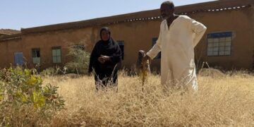 War has turned this African capital into a city of graves