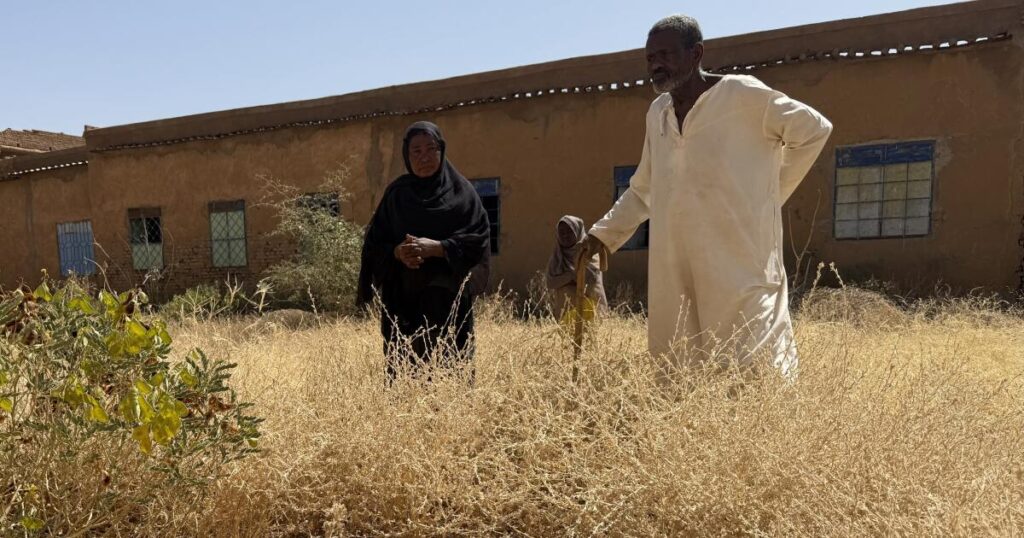 War has turned this African capital into a city of graves