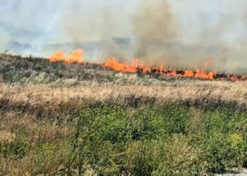 1,000-acre brush fire in Santa Ana winds triggers evacuations in Riverside County