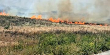 1,000-acre brush fire in Santa Ana winds triggers evacuations in Riverside County