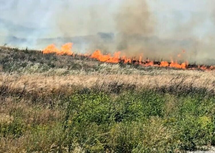 1,000-acre brush fire in Santa Ana winds triggers evacuations in Riverside County