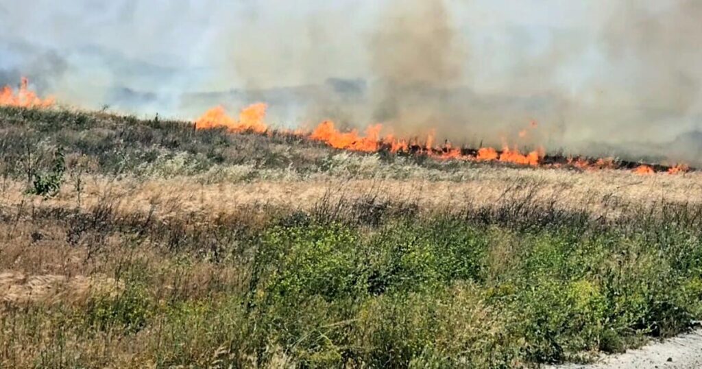 1,000-acre brush fire in Santa Ana winds triggers evacuations in Riverside County