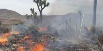 Four structures destroyed and one firefighter injured in Yucca Valley fire