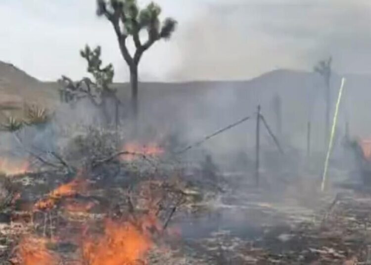 Four structures destroyed and one firefighter injured in Yucca Valley fire