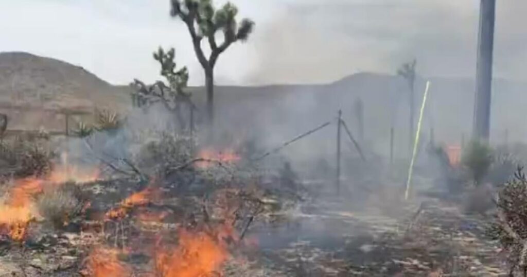 Four structures destroyed and one firefighter injured in Yucca Valley fire