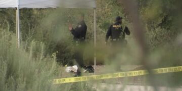 Easter egg hunters reportedly come across possible human skull in Long Beach