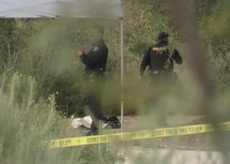 Easter egg hunters reportedly come across possible human skull in Long Beach